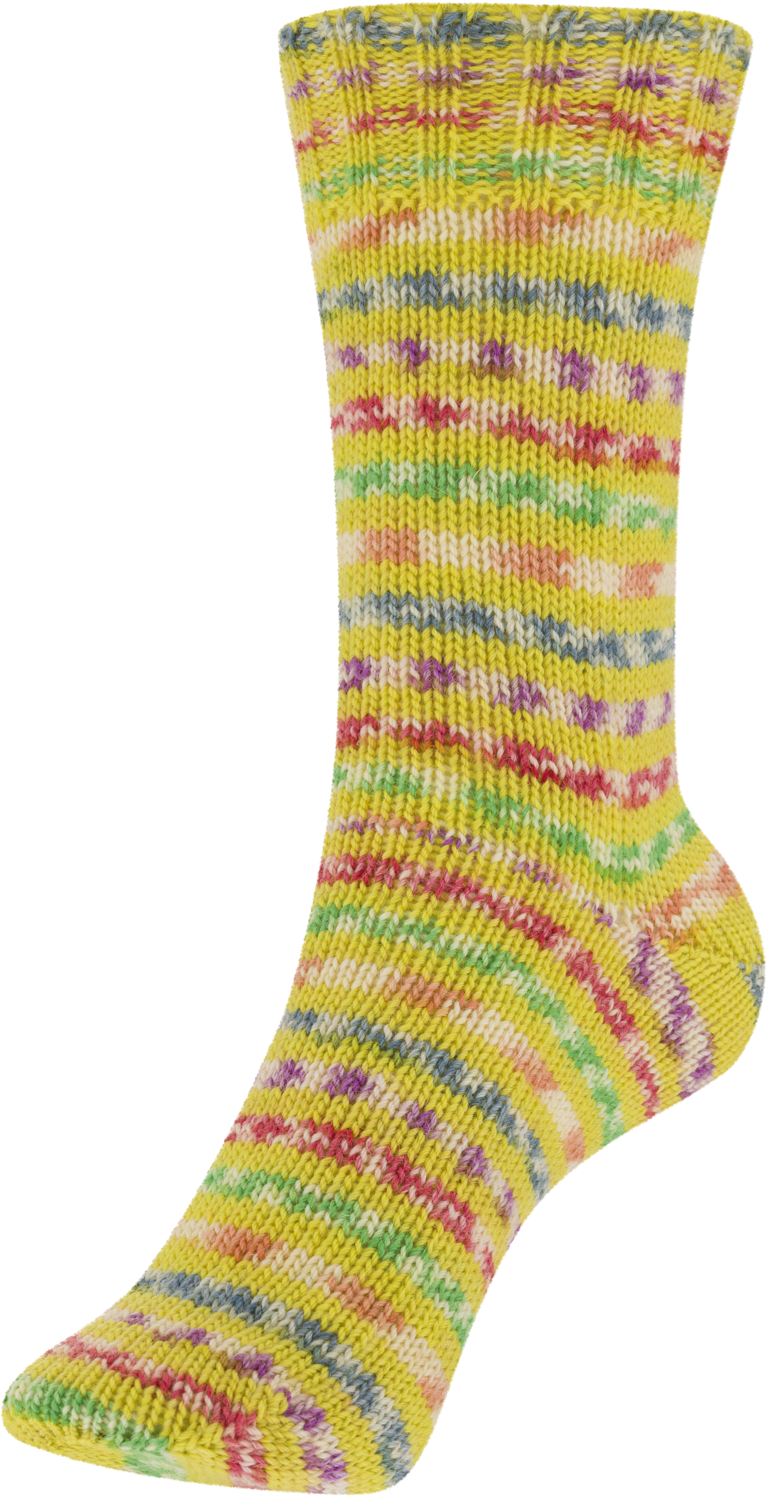 562 Gift-Bunt