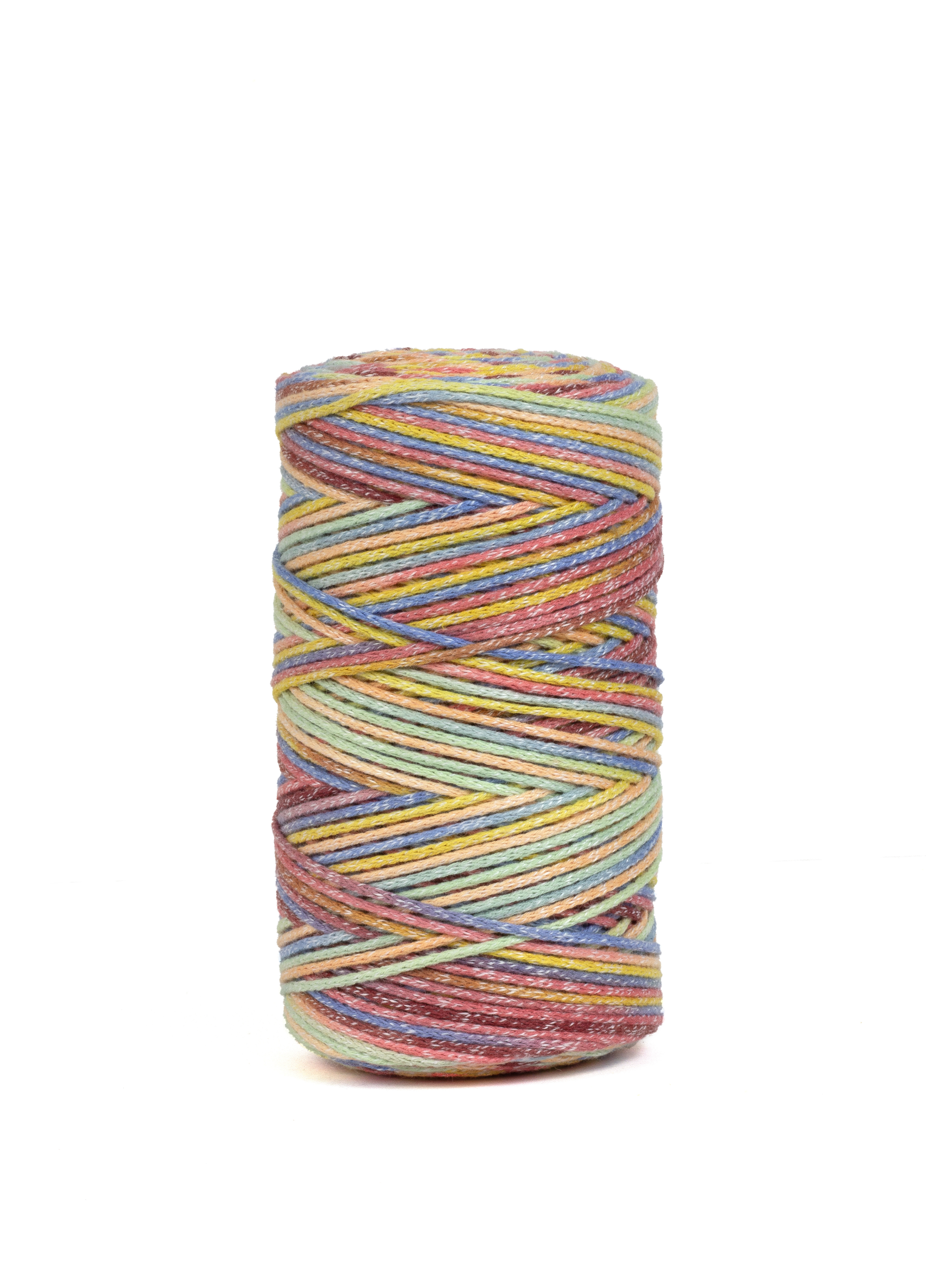 DMC Eco Vita 4 Multicolor 250 g
