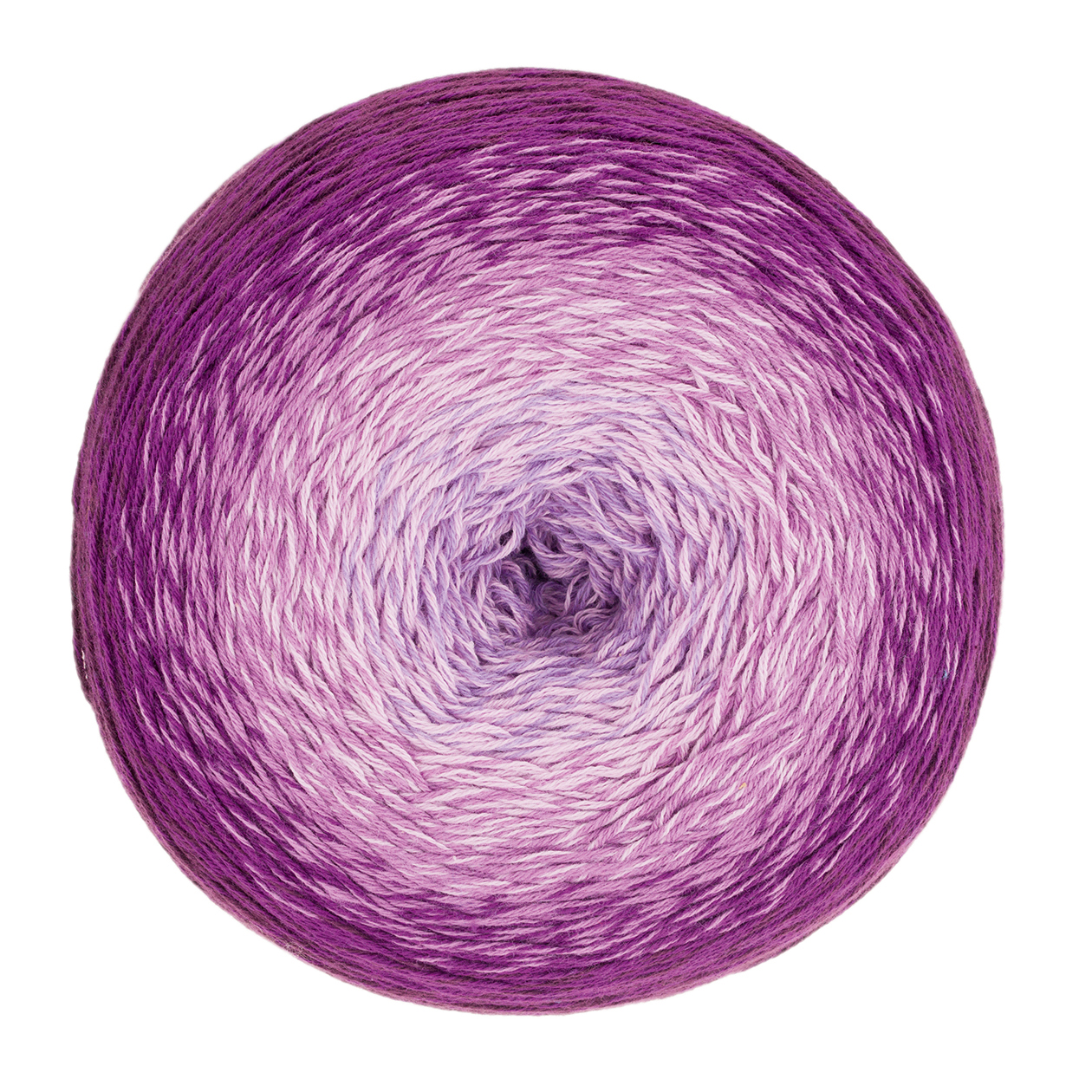 11 Clematis