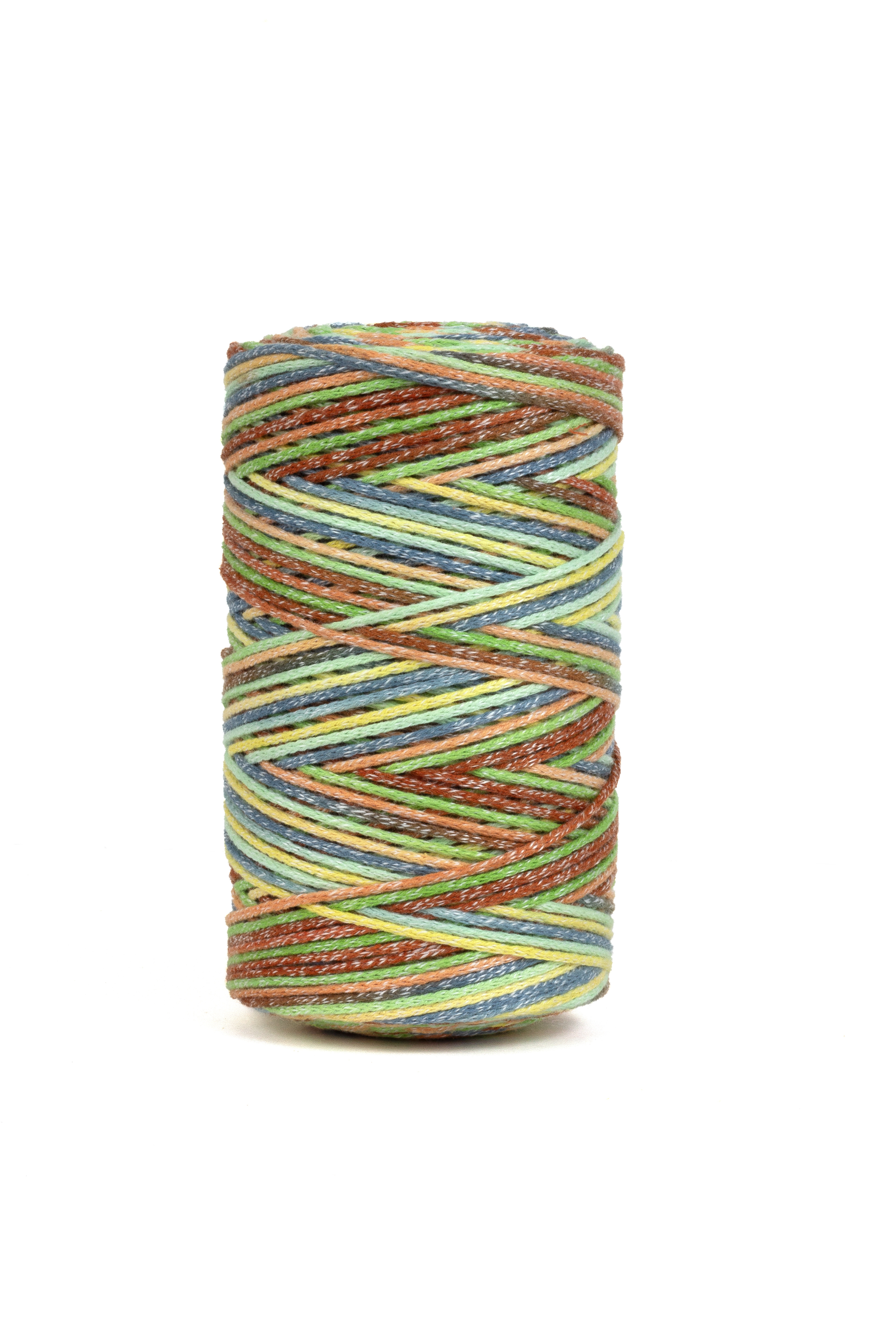 DMC Eco Vita 4 Multicolor 250 g