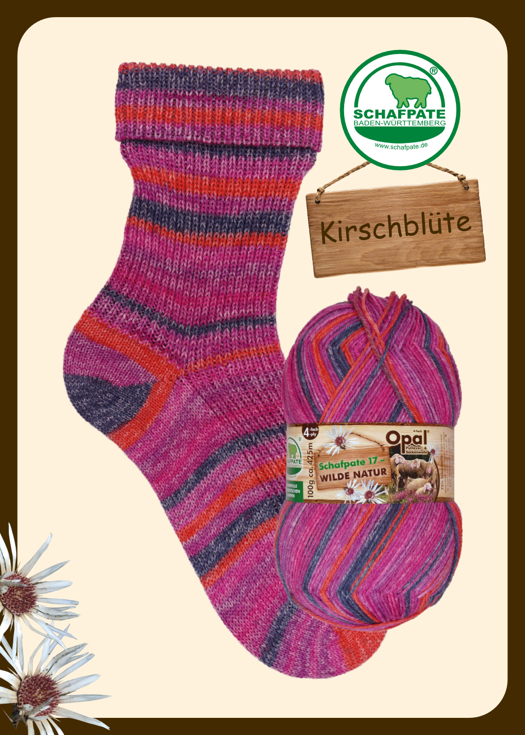 11593 Kirschblüte