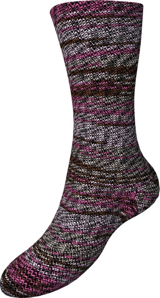 FORTISSIMA6F211_RGB 211 Winterrose