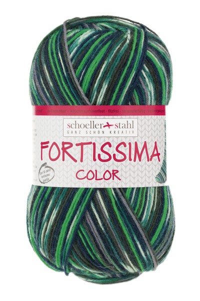 Fortissima_Color_2495_RGB 2495 gras