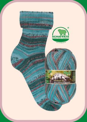 11676 Curly sammelt Pilze