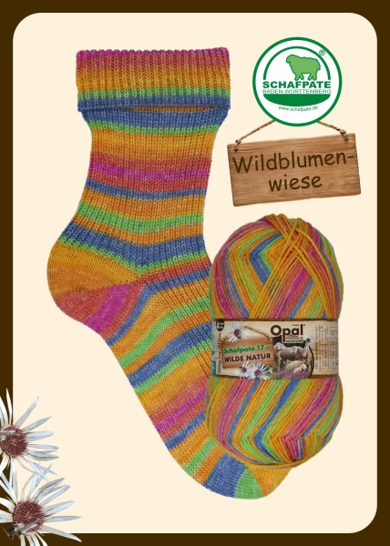 11597 Wildblumenwiese