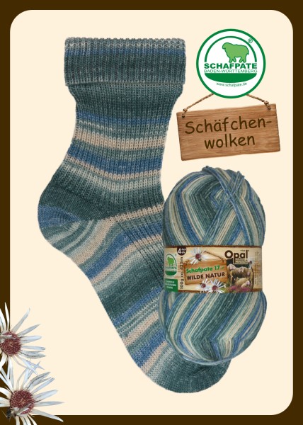 11594 Schäfchenwolken