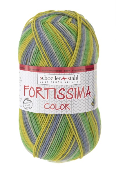 Fortissima_Color_2429_RGB 2429 Kawagoe