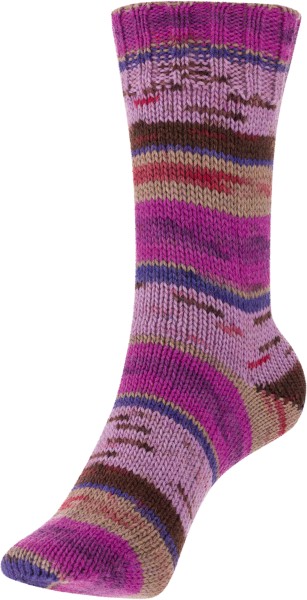 Kelim-215-Aster 215 Aster